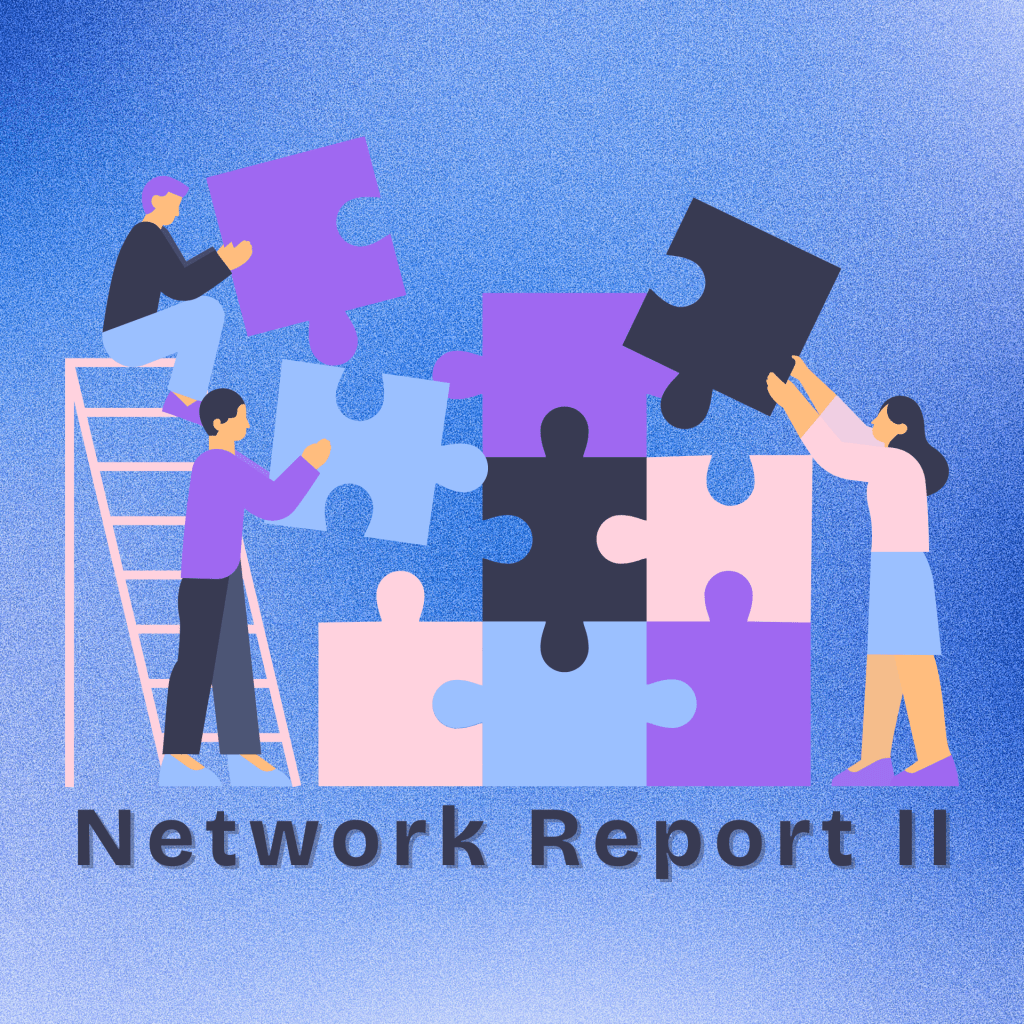 Network Report II